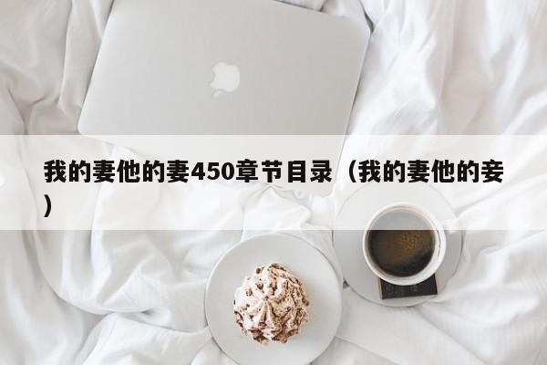 我的妻他的妻450章节目录(我的妻他的妾)
